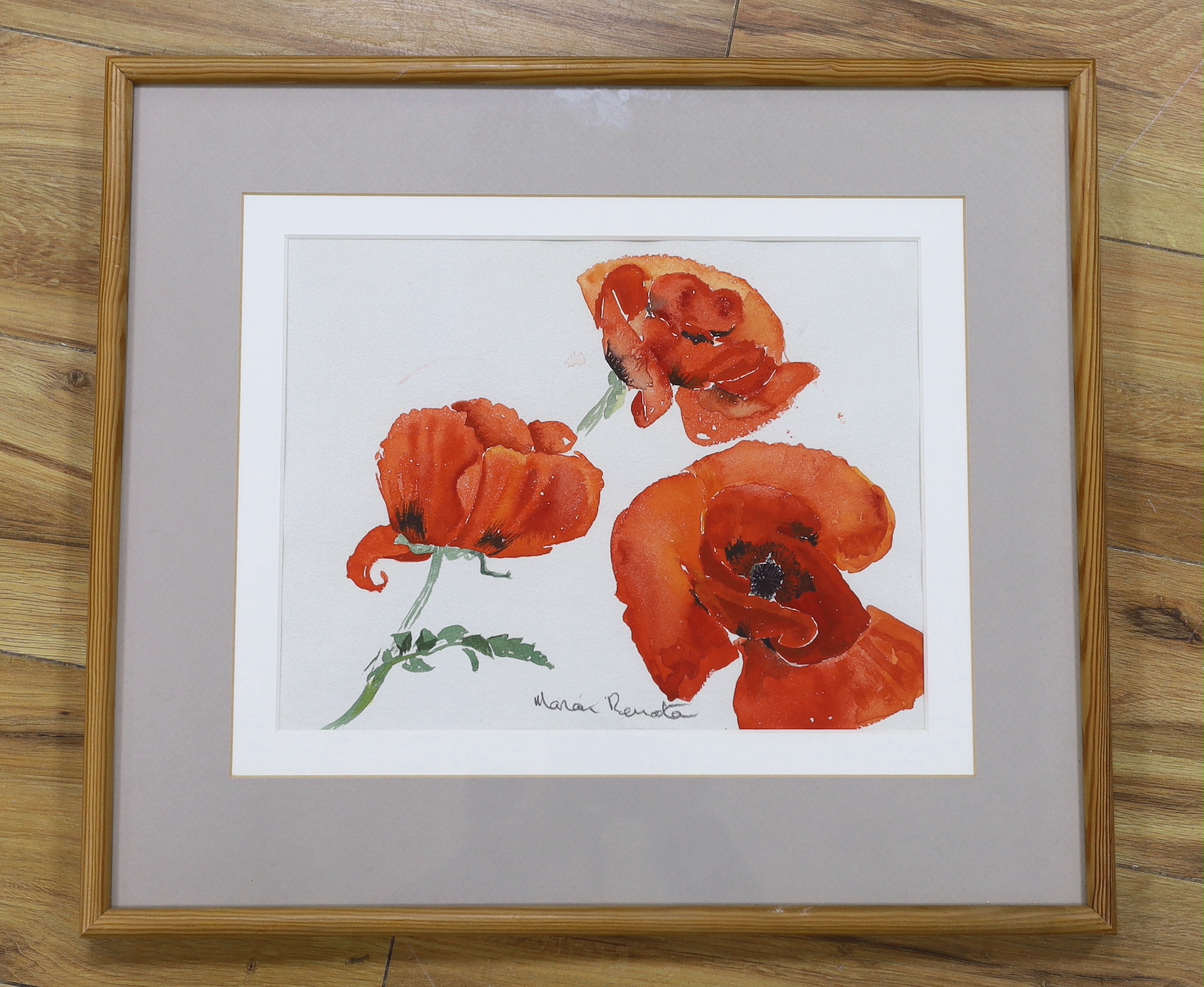 Marian Renata, watercolour, Still life of poppies, signed, 25 x 32cm